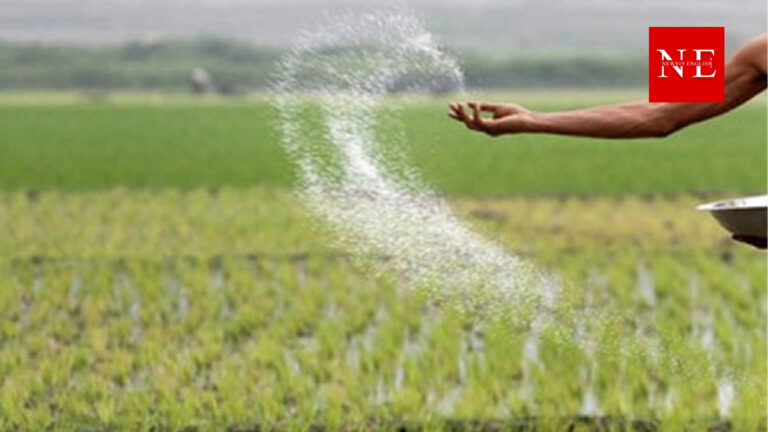 Green Light from EC for Fertiliser Subsidy for Paddy Farmers